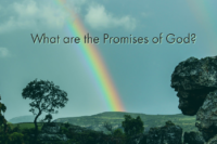 What are the promises of God