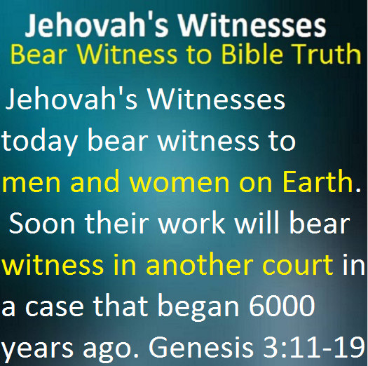 What Do Jehovah’s Witnesses Bear Witness To?