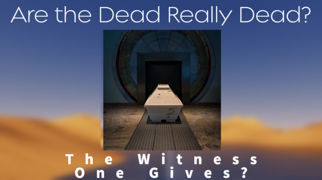 Do The Dead Have Thoughts? The Answer